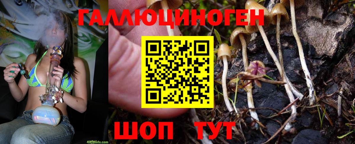Красноуфимск  Псилоцибиновые грибы Psilocybe  Галлюциногенные грибы Magic Shrooms  Вход с VPN 